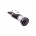 Front Air Spring Air Suspension Systems Shock Absorber Air Ride 2203202438 W220 For MB S-Class S350 S280 S320 S500 2203205113